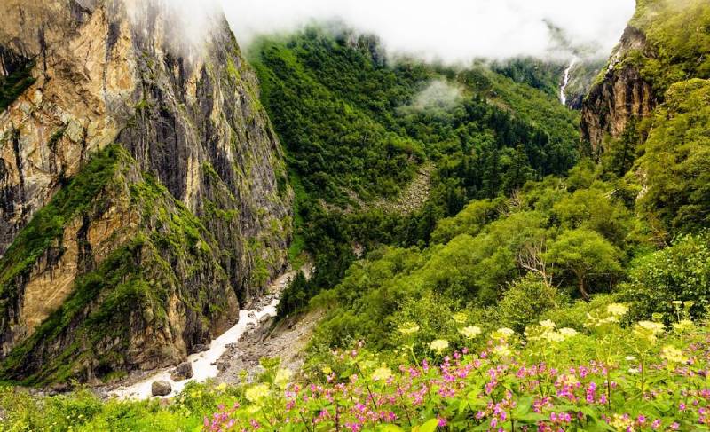 best hotel with mountain view in auli